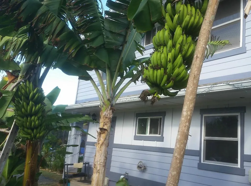 Appartement Banana Bungalow In Laie North Shore Oahu